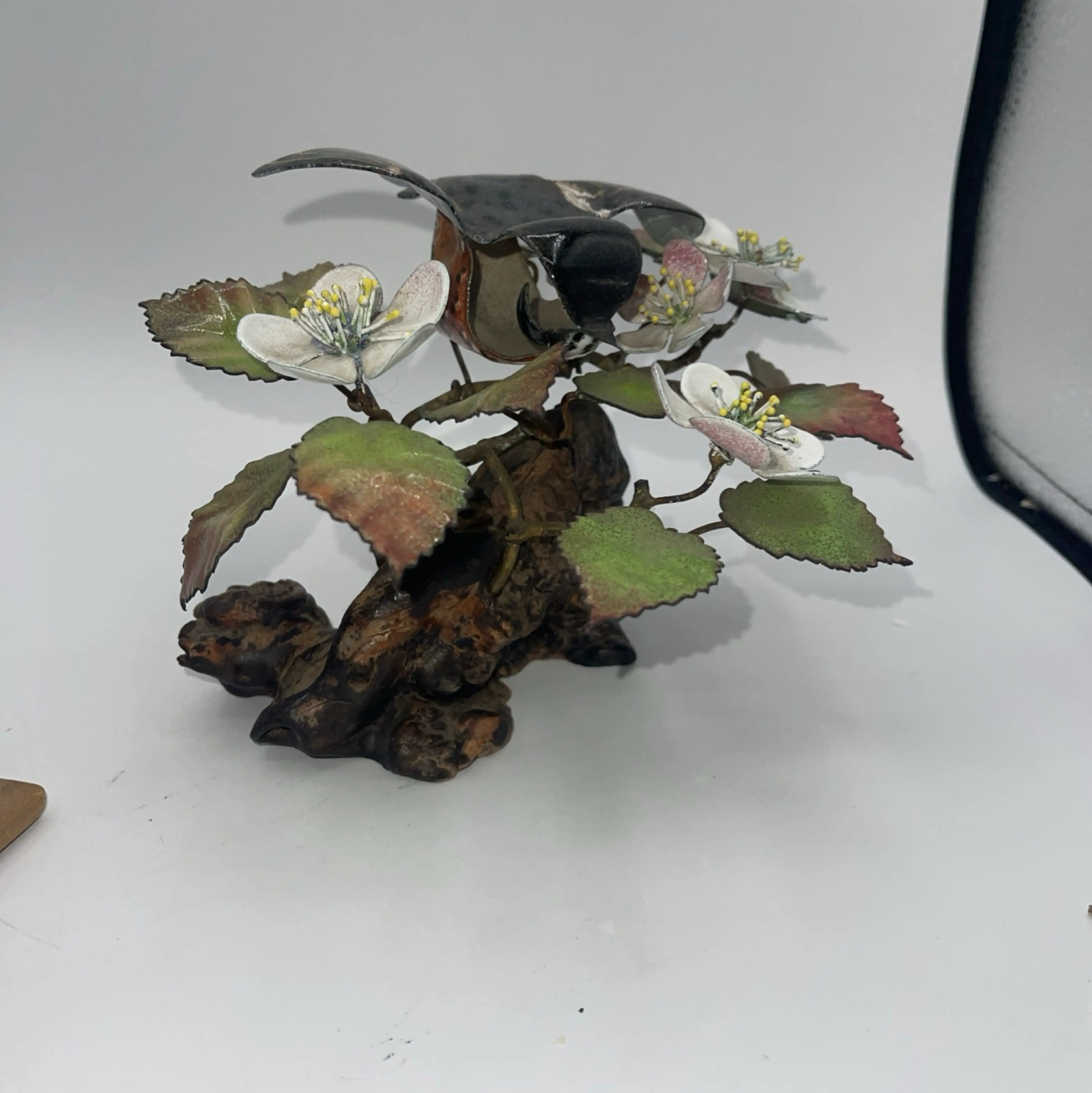 Image 1 of 12