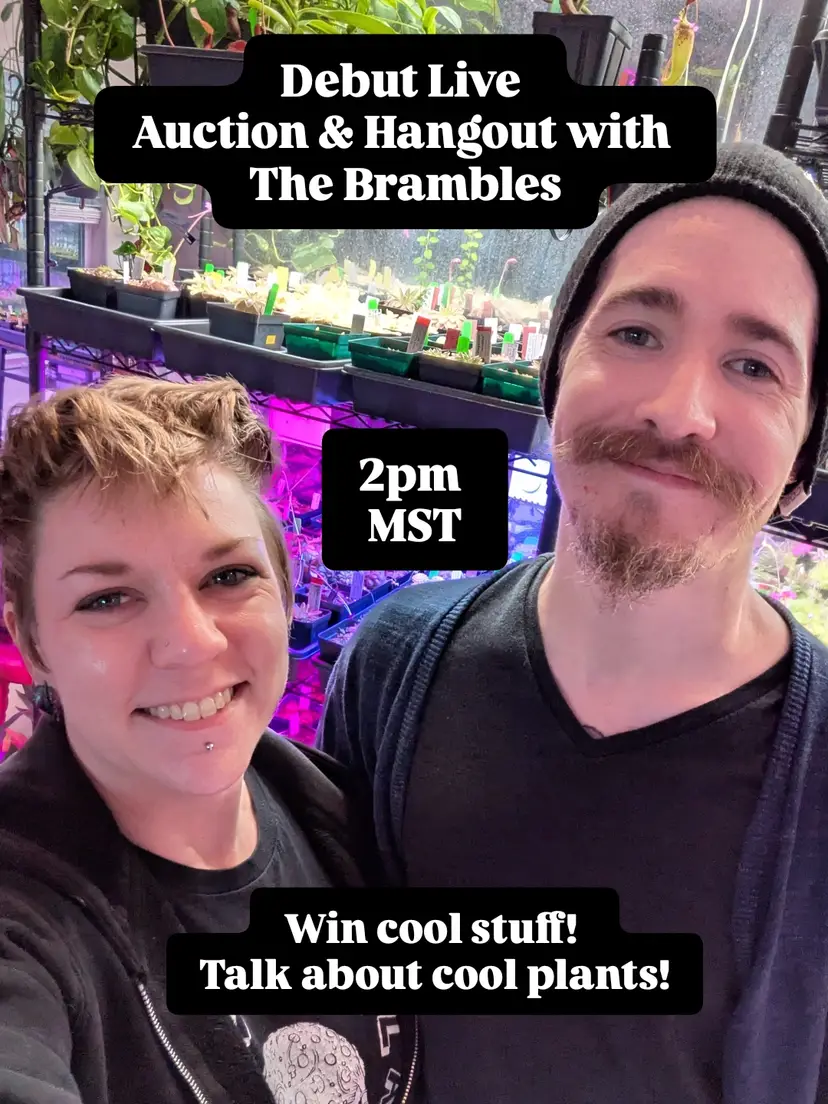 Livestream thumbnail