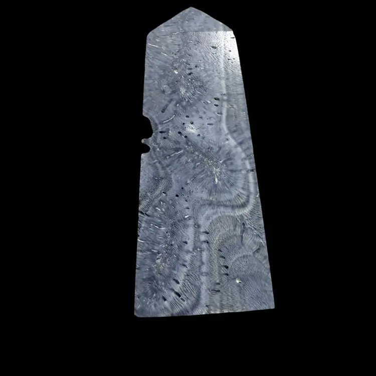 Blue Coral Jasper Tower