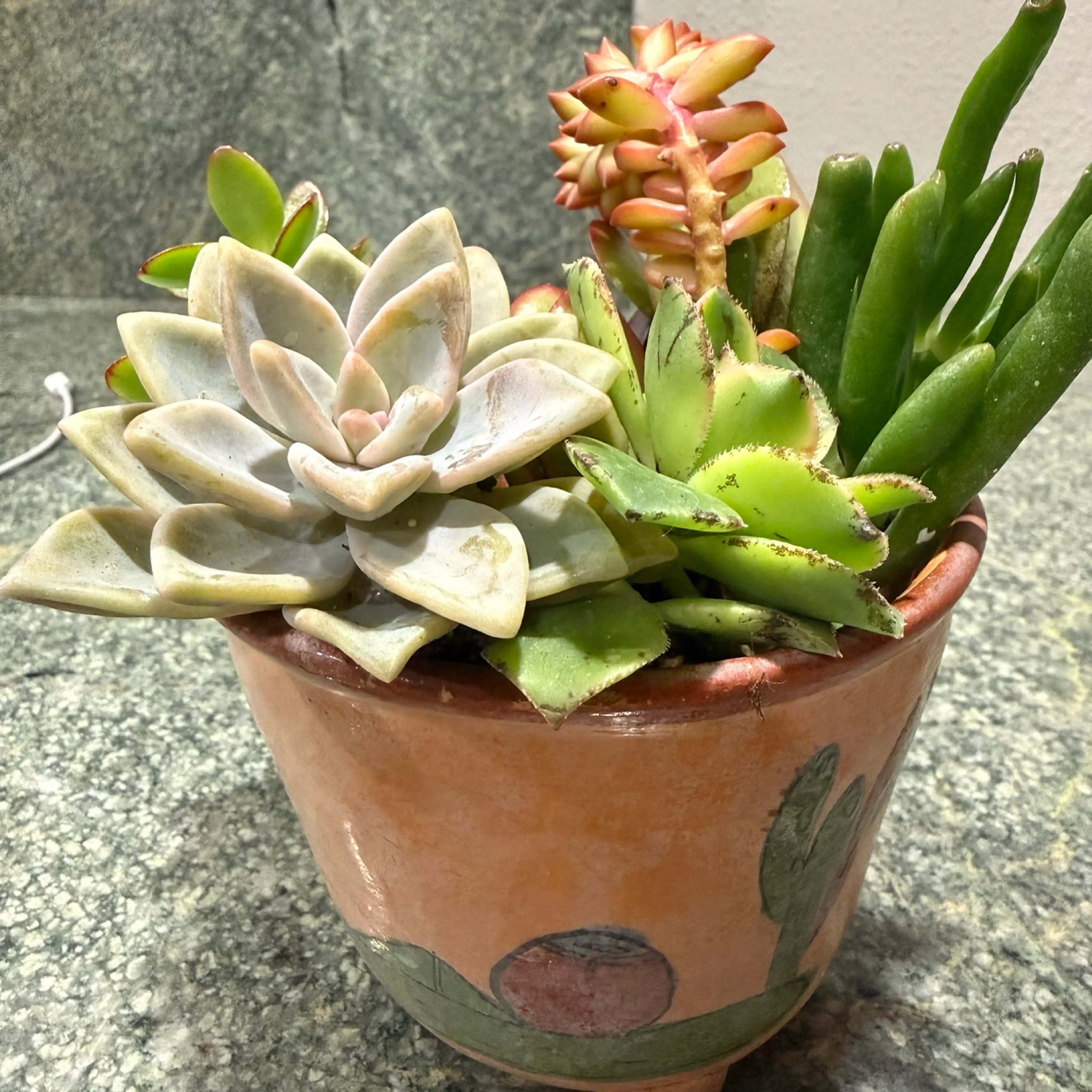 Image 2 of 3