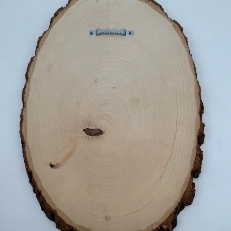 Vtg Tree Bark Rooster Plaque folk art Wood Slice Signed Country Chicken kitsch