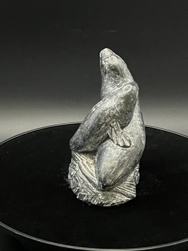 Wolf Original Sea Lions