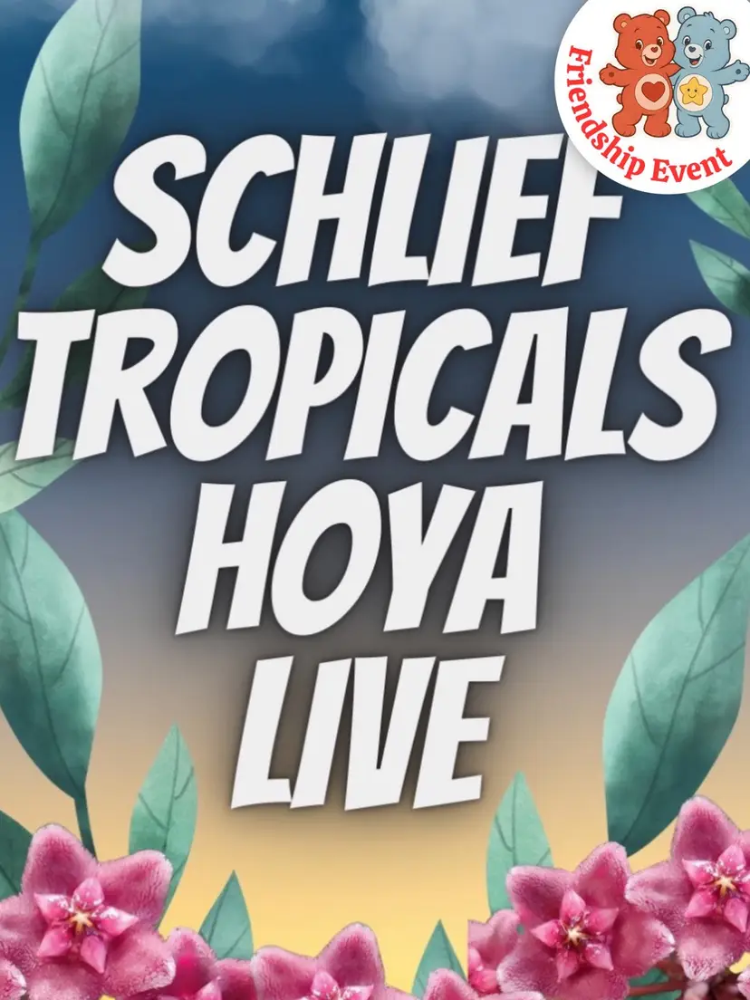 Livestream thumbnail