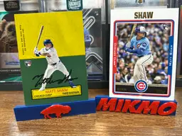Matt Shaw RC Lot