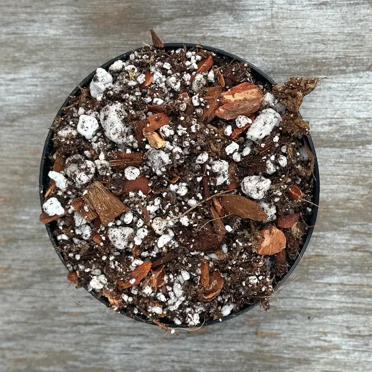 Substrate - Aroid  #3