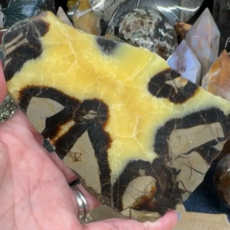 Septarian Slab 30C