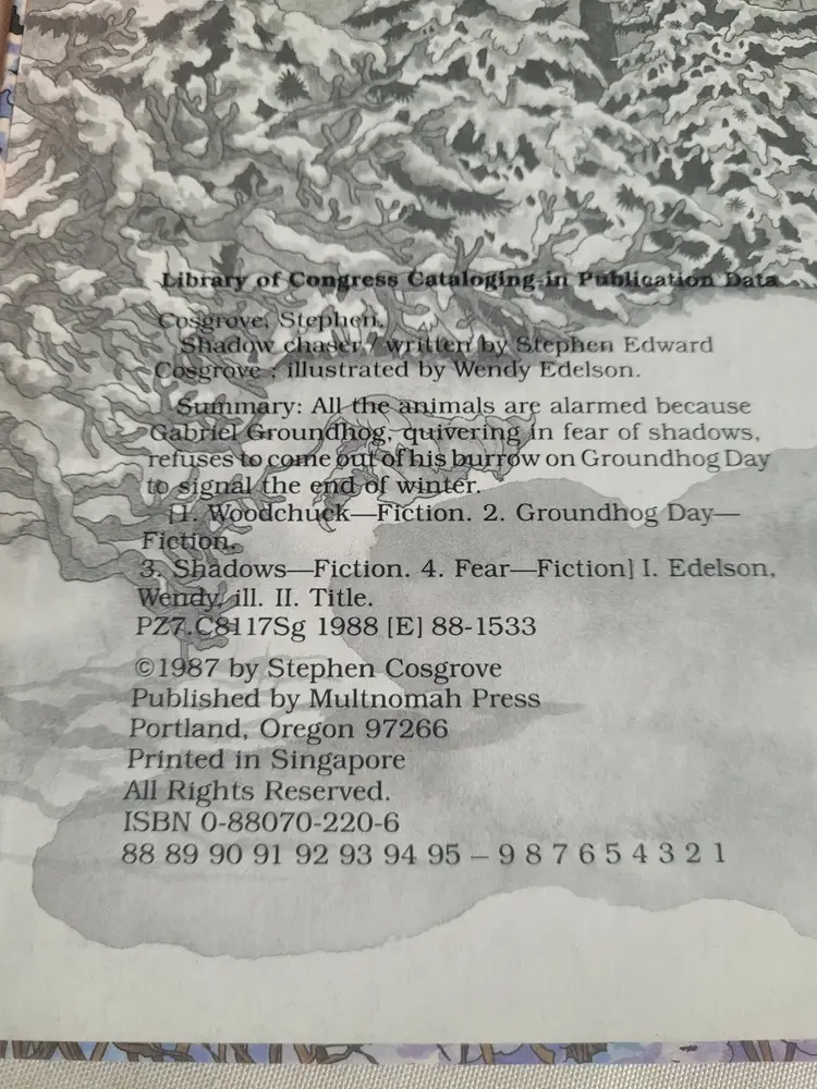 Shadow Chaser From the Land of Barely There by Stephen Cosgrove