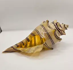Beautiful Cased Glass/Art Glass Striped Conch Seashell (#1 Light Brown). 7.5" x 3.2 Paperweight