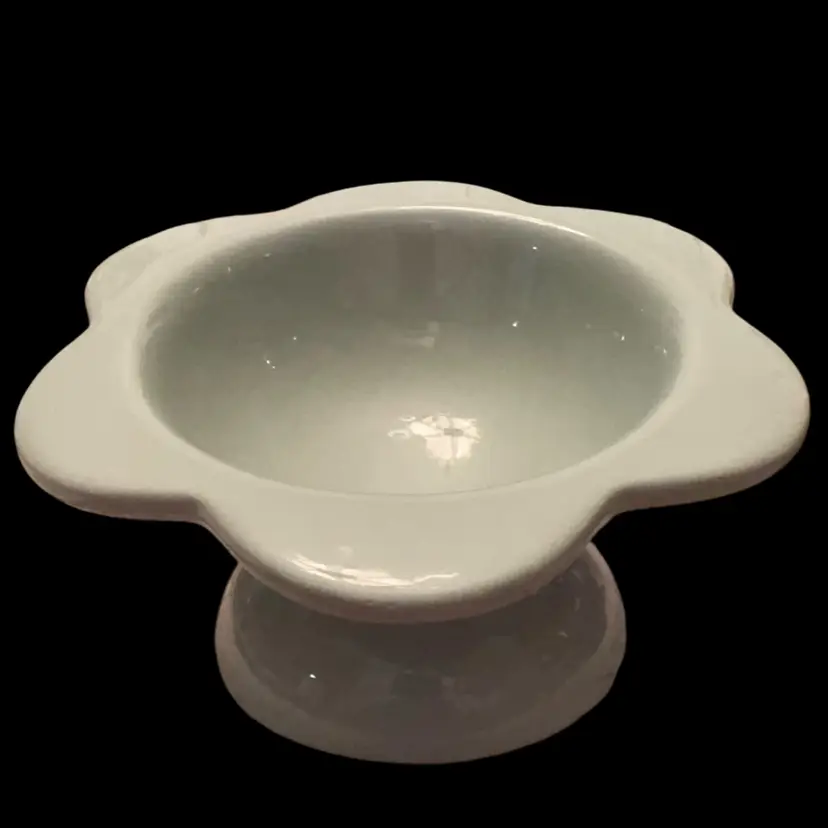 Raised Tilted Kitty Bowl