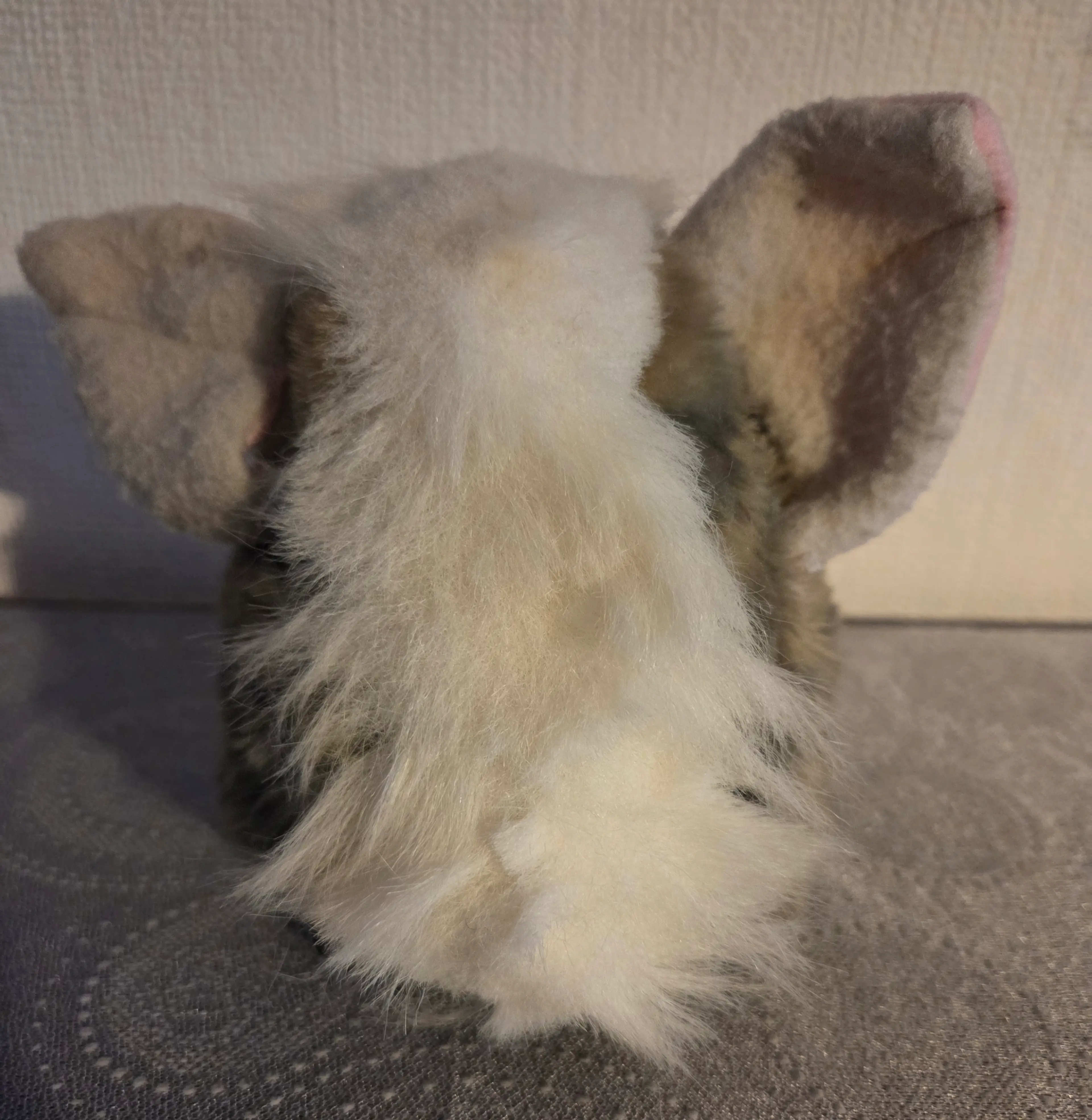 Image 2 of 5