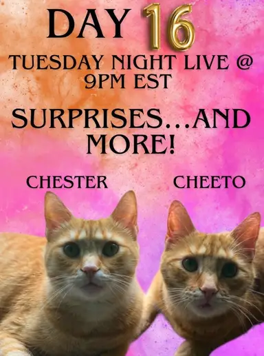 Day 16: Tuesday Night Live @ 9 PM EST: Surprises…and More!