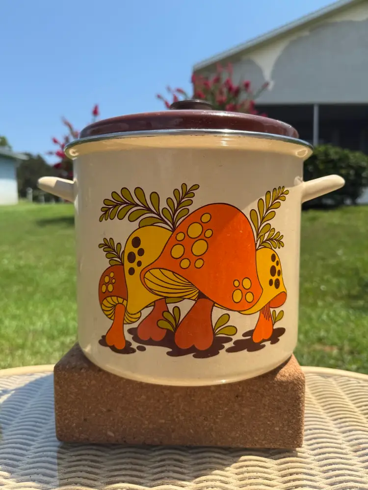 ✨1970s Sears Merry Mushroom Enamel Pot✨