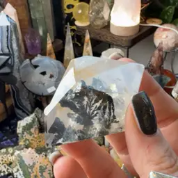 Dendritic Agate Freeform 35 L