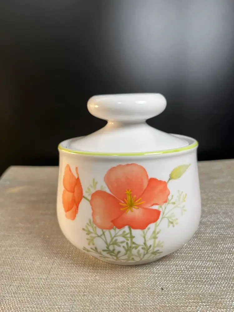 Noritake-Progression Series China-"Bright Side"-Features Poppies