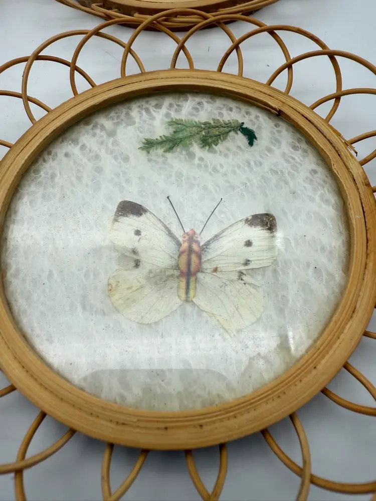 Wicker Butterfly Coaster (6)
