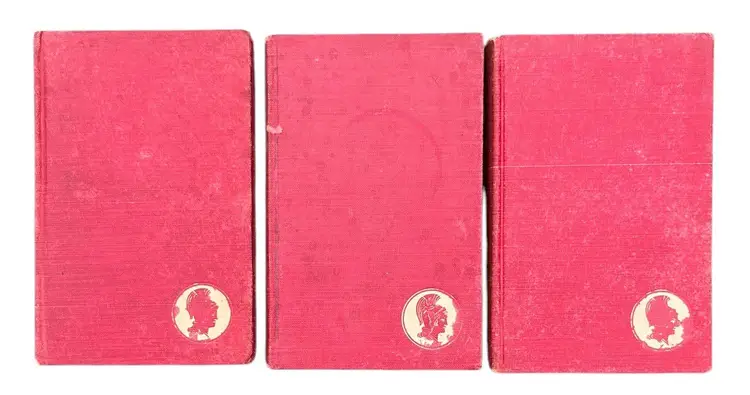 Antique 1904  "The Works of Edgar Allan Poe" Cameo Edition Lot - Volumes 3,9 & 10