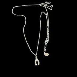 Eliza and Jane Silvertone Rhinestone Wishbone Necklace 18”
