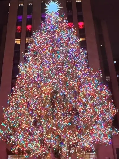 Christmas In July 🎅🏻🎄