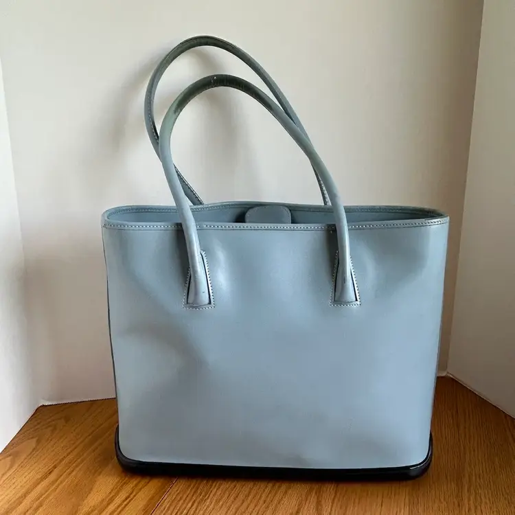 Dooney & Bourke Rare Powdered Blue Stands ParaSole Zippered Tote Bag Preowned