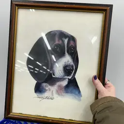 16 X 20 Framed Poster Beagle Portrait Dog 70’s