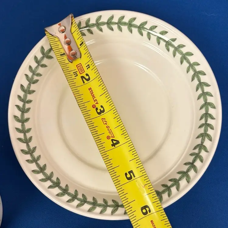 Vintage Portmeirion Botanic Garden Drum Flat Coffee/Tea Cup & Saucer Rhododendron