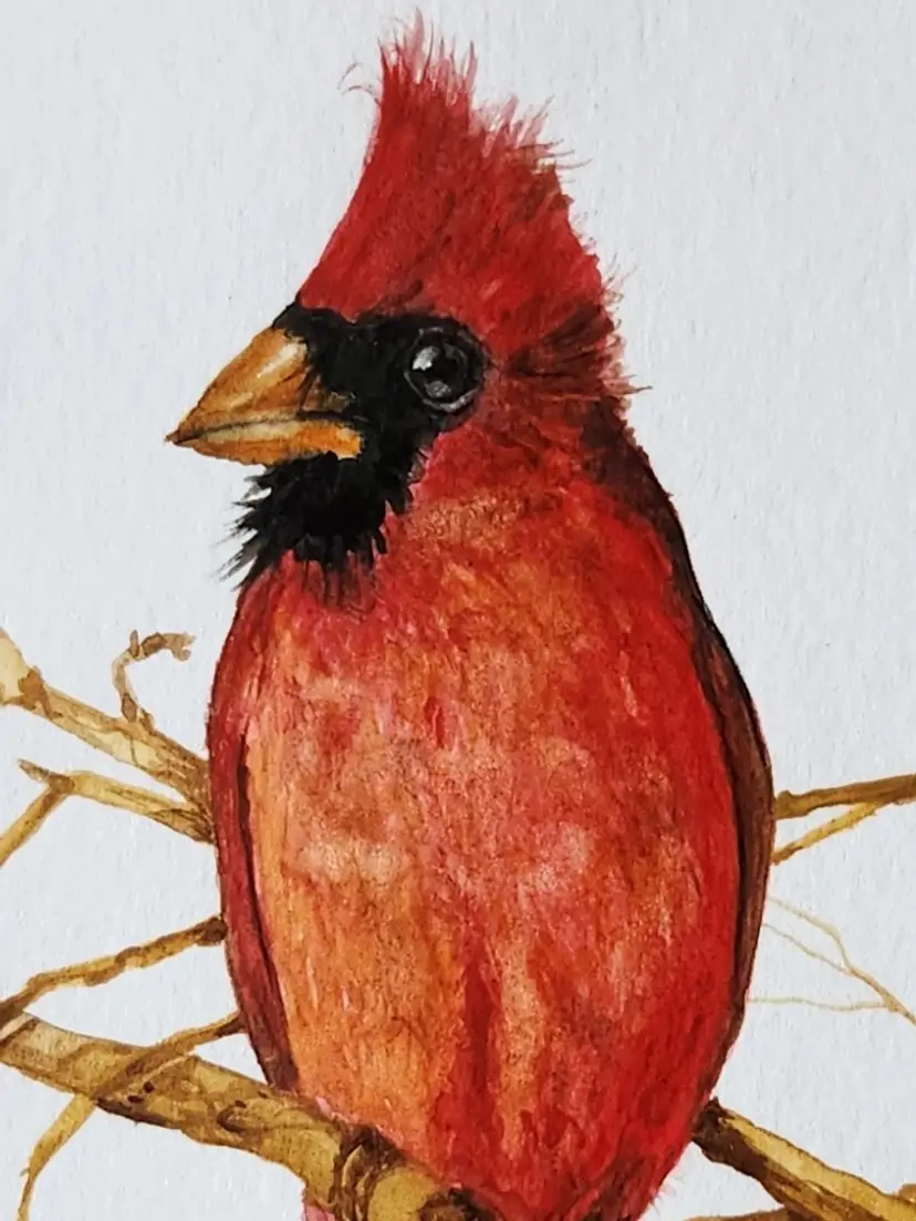 Livestream thumbnail