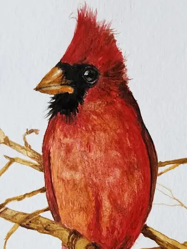 A Bird In The Hand...or Two? Original Watercolor Birds & More Fun Stuff
