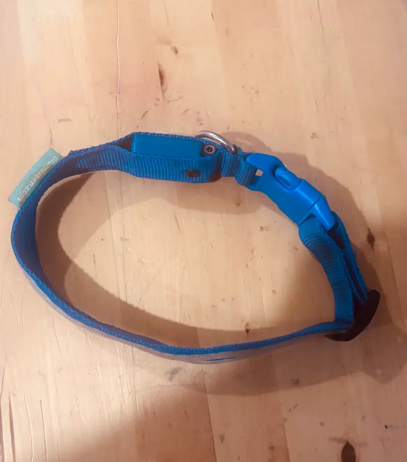 Blue Adjustable Dog Collar with Quick-Release Buckle