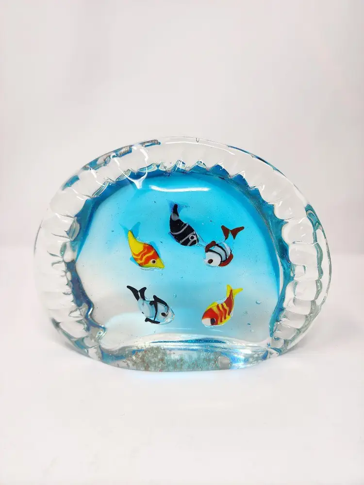 Glass Clam Shell Aquarium with Fish