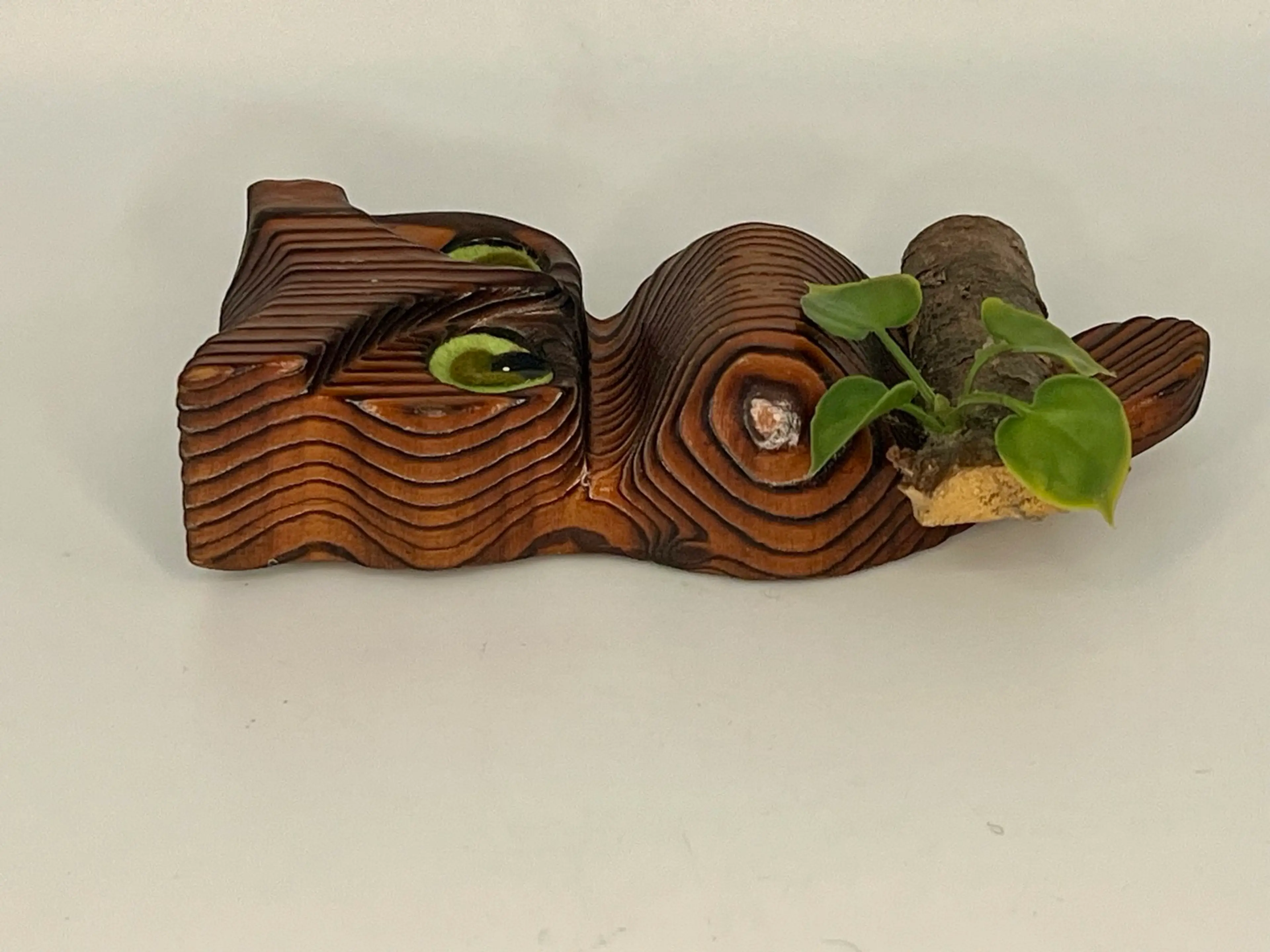 Image 4 of 7