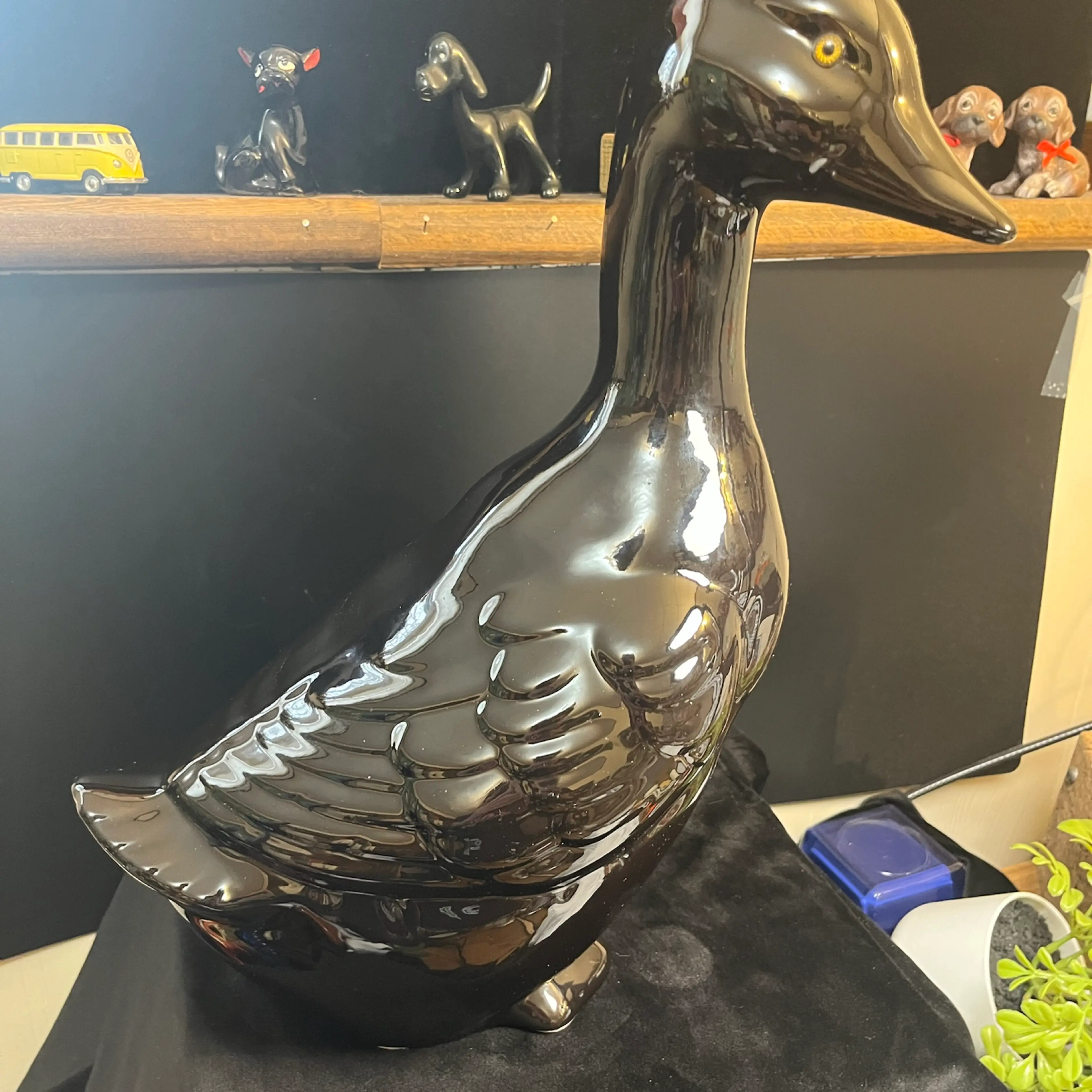 Image 3 of 10