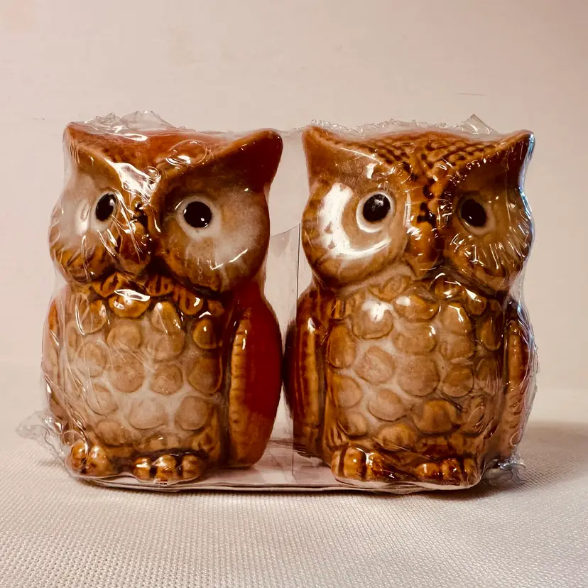 Retro Vintage Grandmacore Glazed Midwood Ceramic Owls Salt And Pepper Shakers.