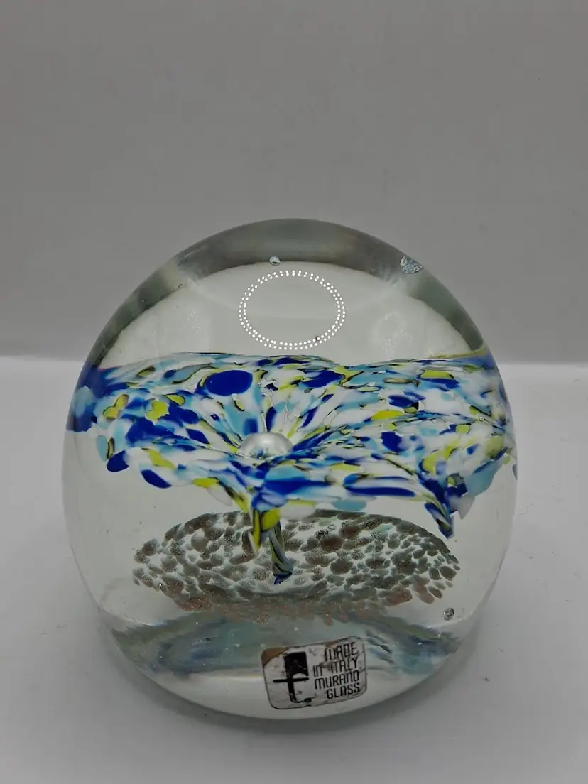 Vintage FRATELLI TOSO VETRERIA MURANO Flower Burst Controlled Bubble Paperweight