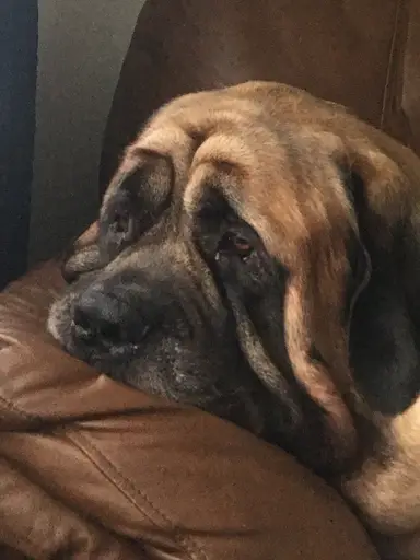 Friday Finds-Vintage Variety 