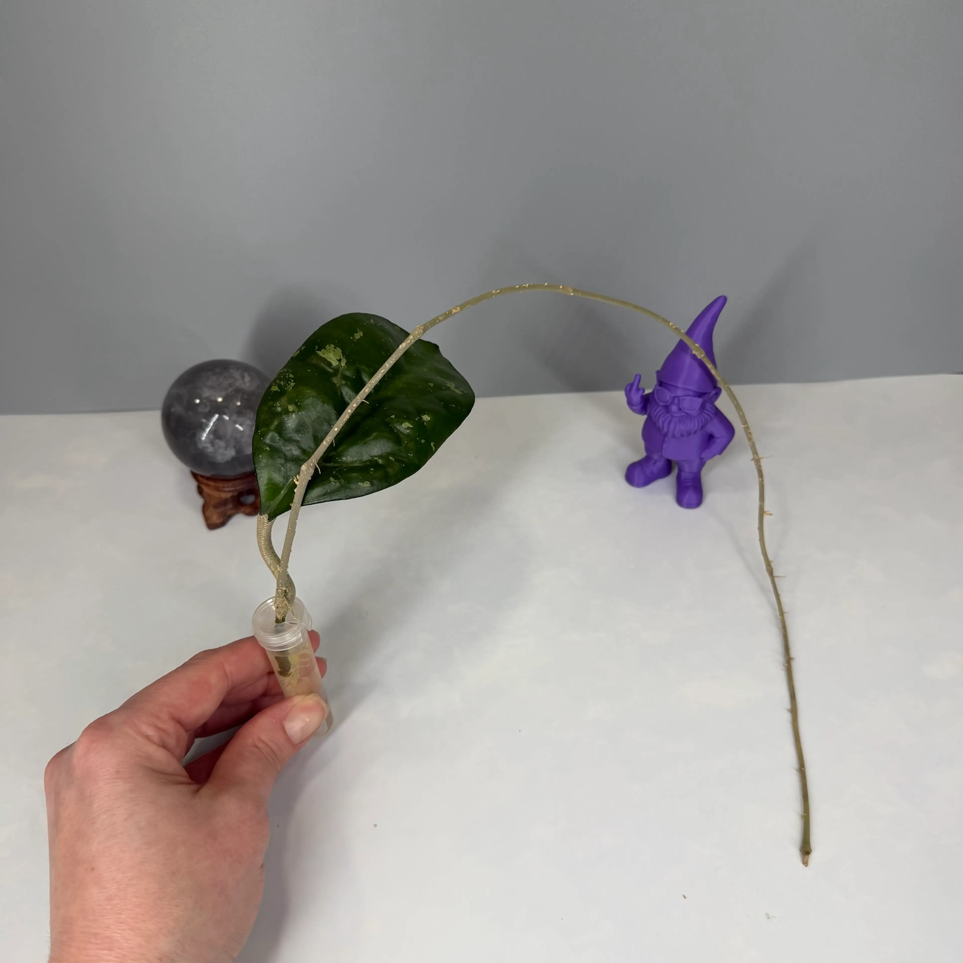 Image 3 of 4