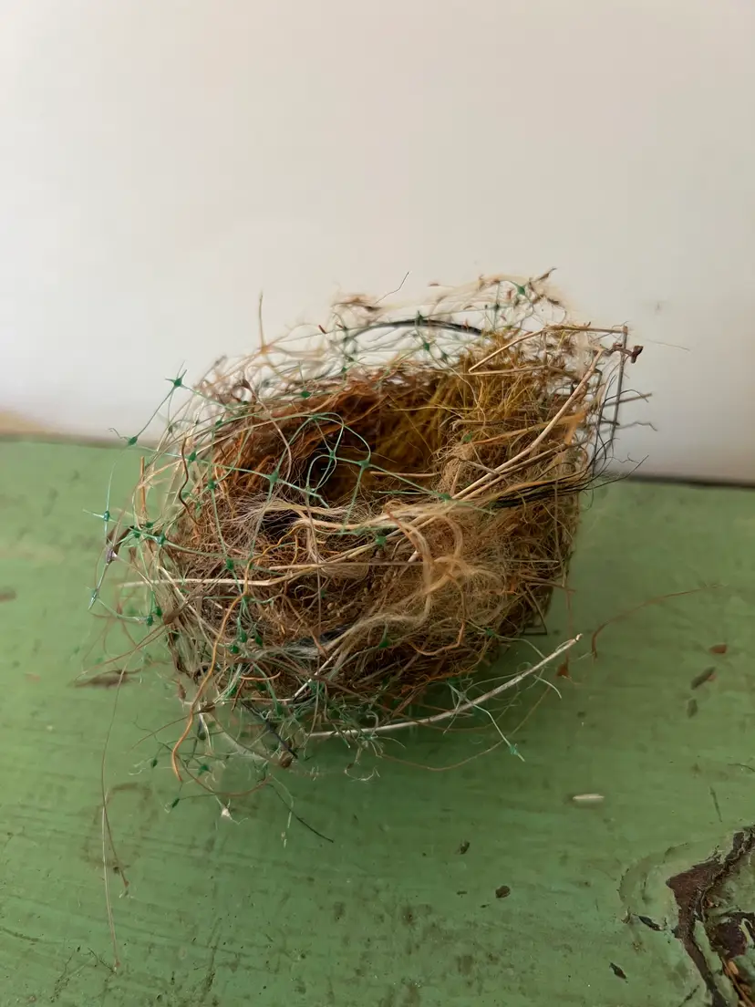 Small Natural Birds Nest- Abandoned by South Carolina Bird. Natural Home Decor #8
