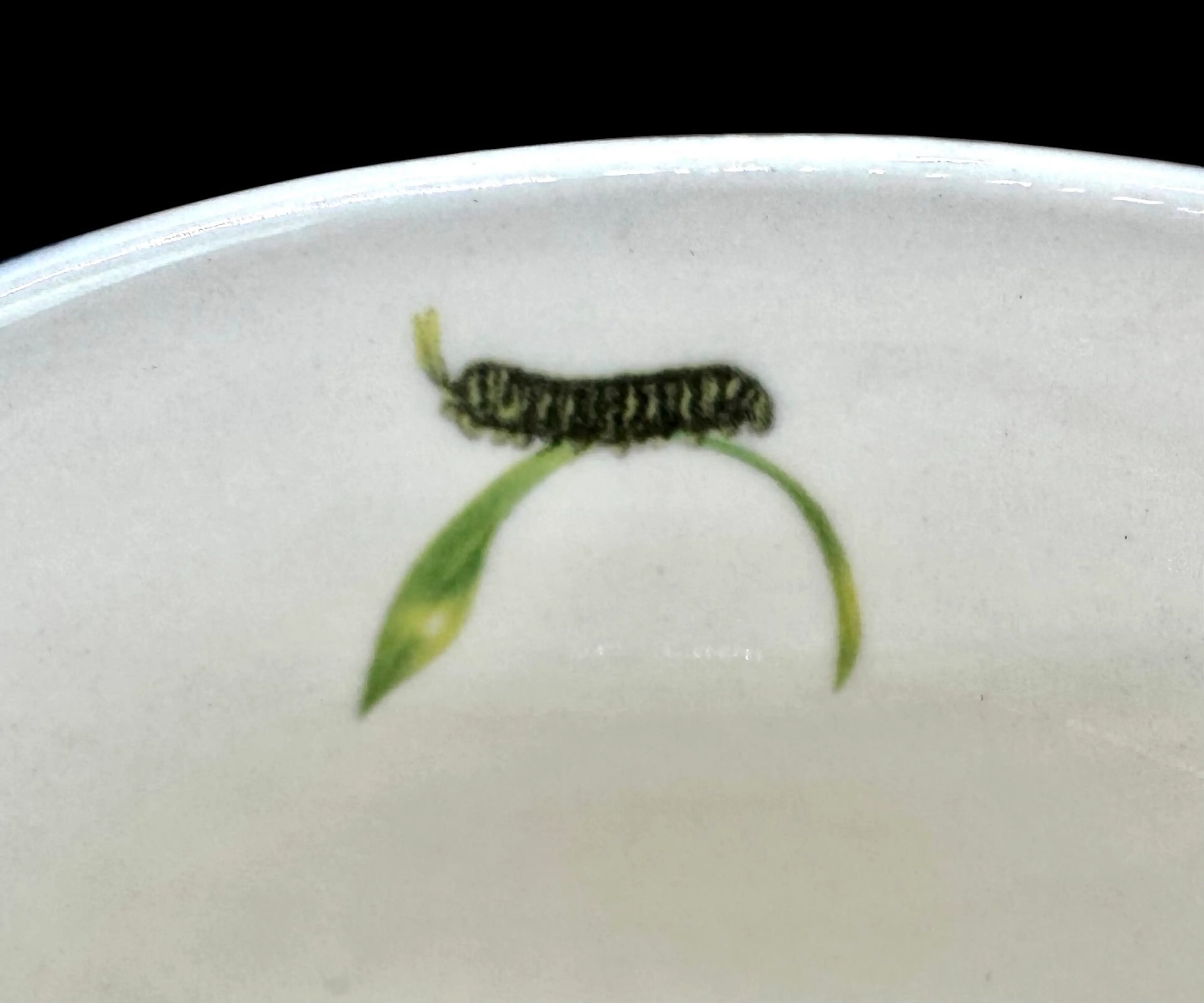 Image 4 of 7
