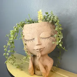 Head planter with Dischidia ruscifolia varigated million heart