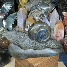 Labradorite Snail 135E