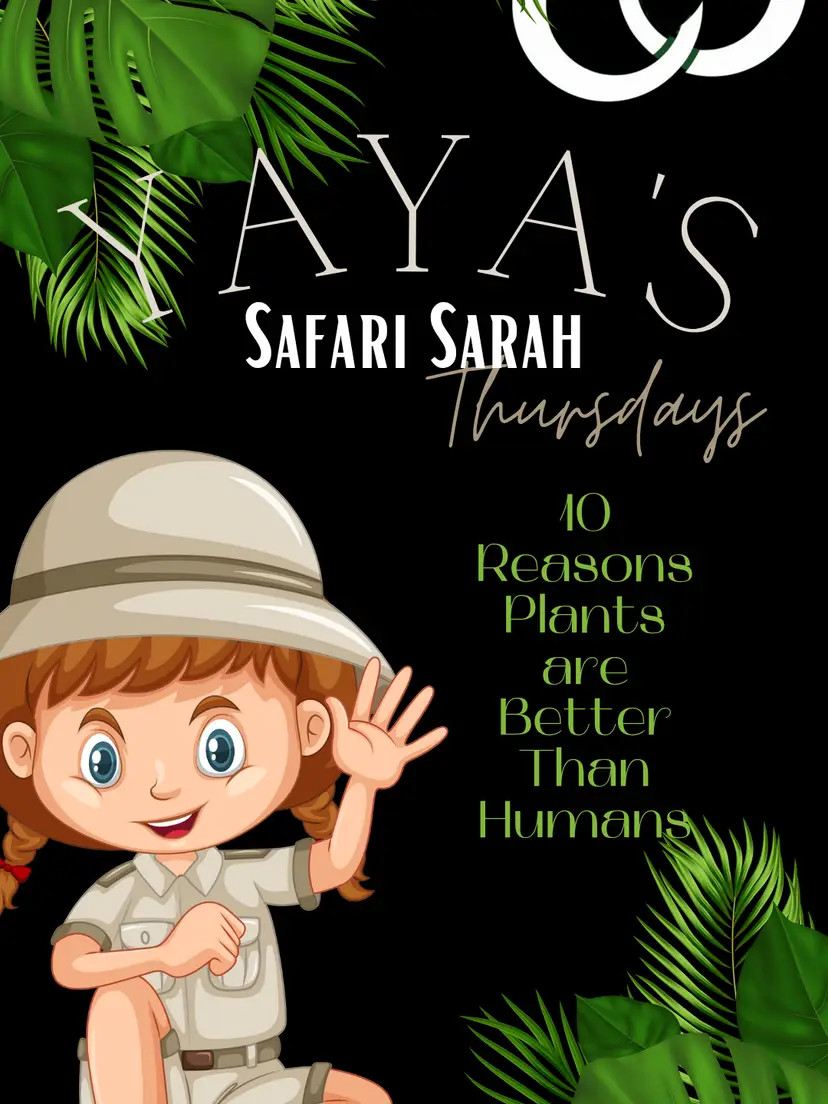 Livestream thumbnail