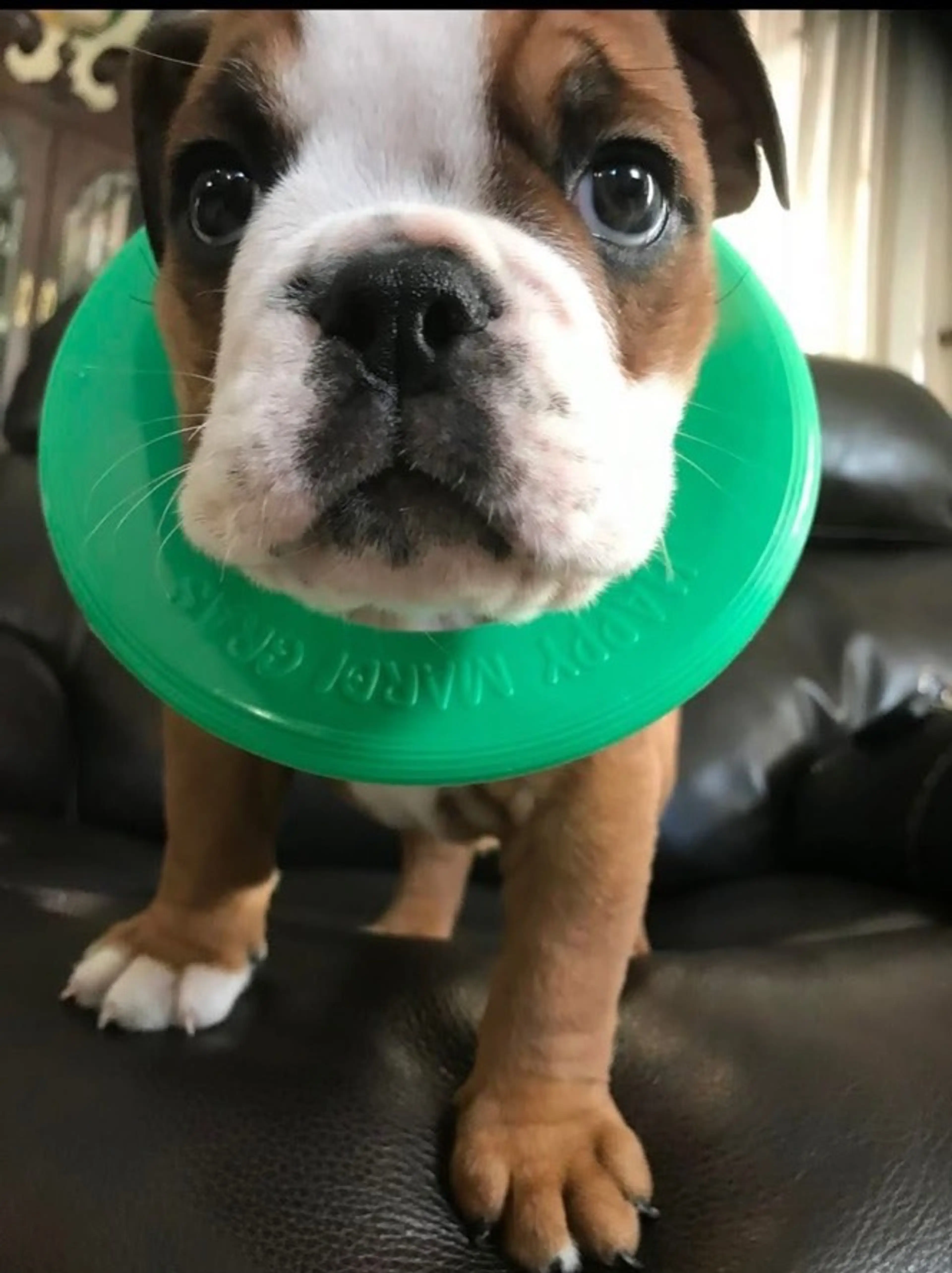 Rosey Invites To The Friday Night Show. Lots Of Items. Stop In And Say Hello!