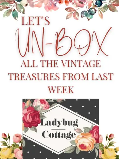 🐞 UNBOXING All The Most Recent Treasures 🐞