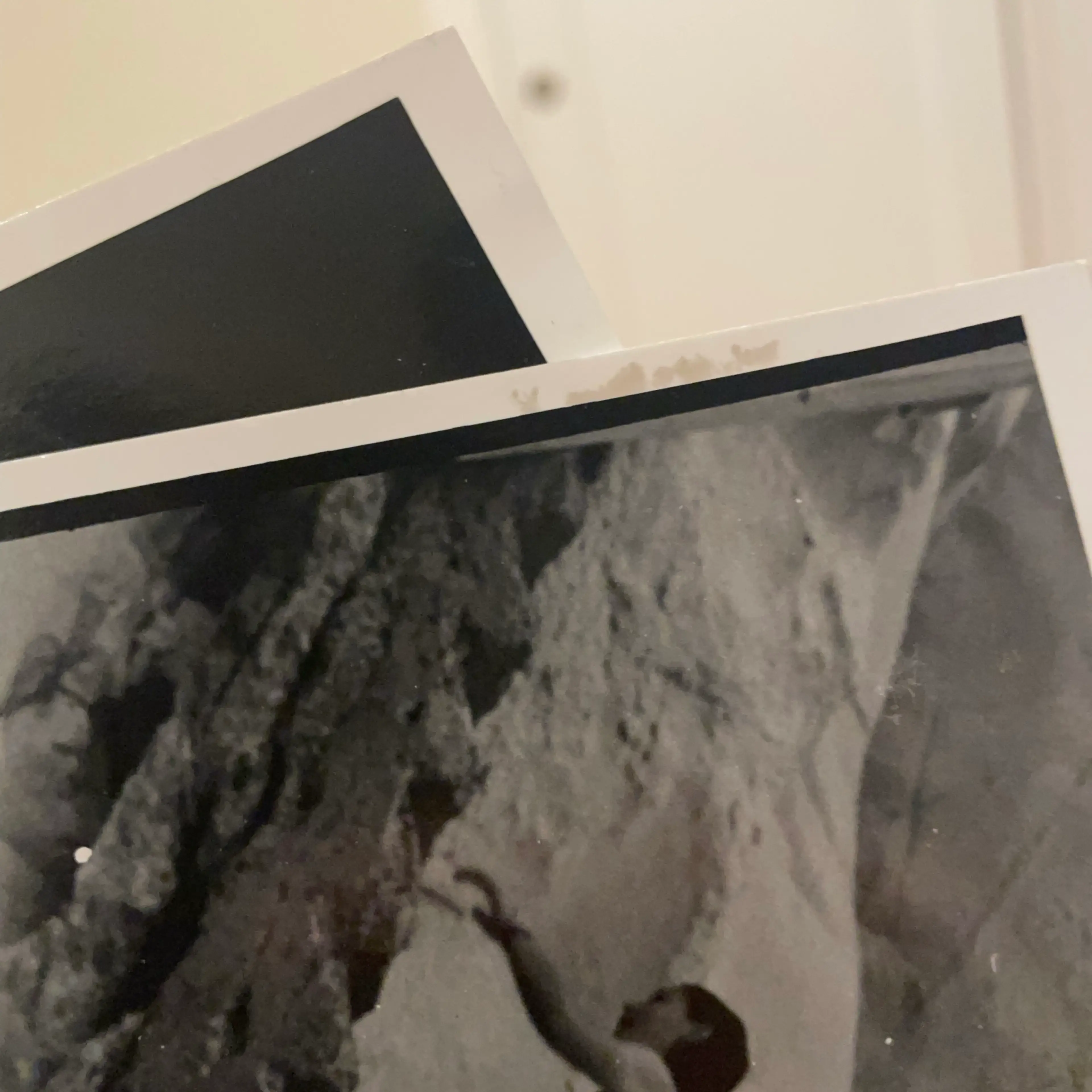 Image 4 of 6