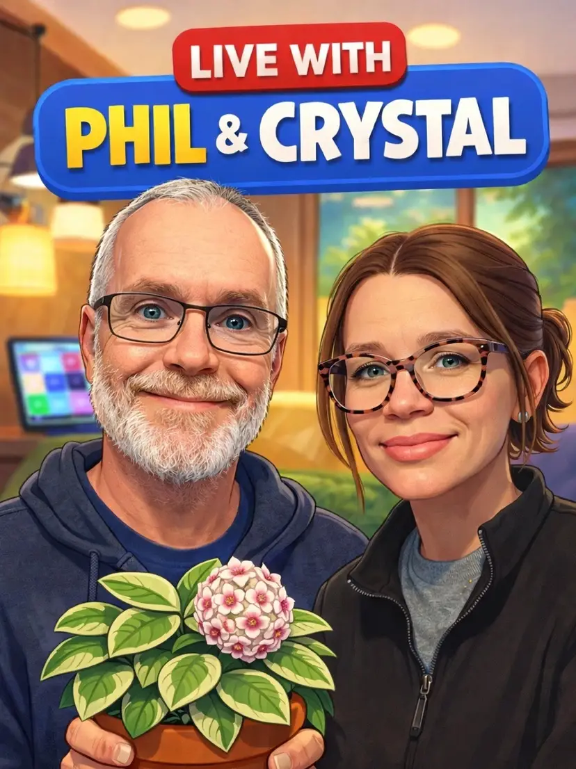 Livestream thumbnail