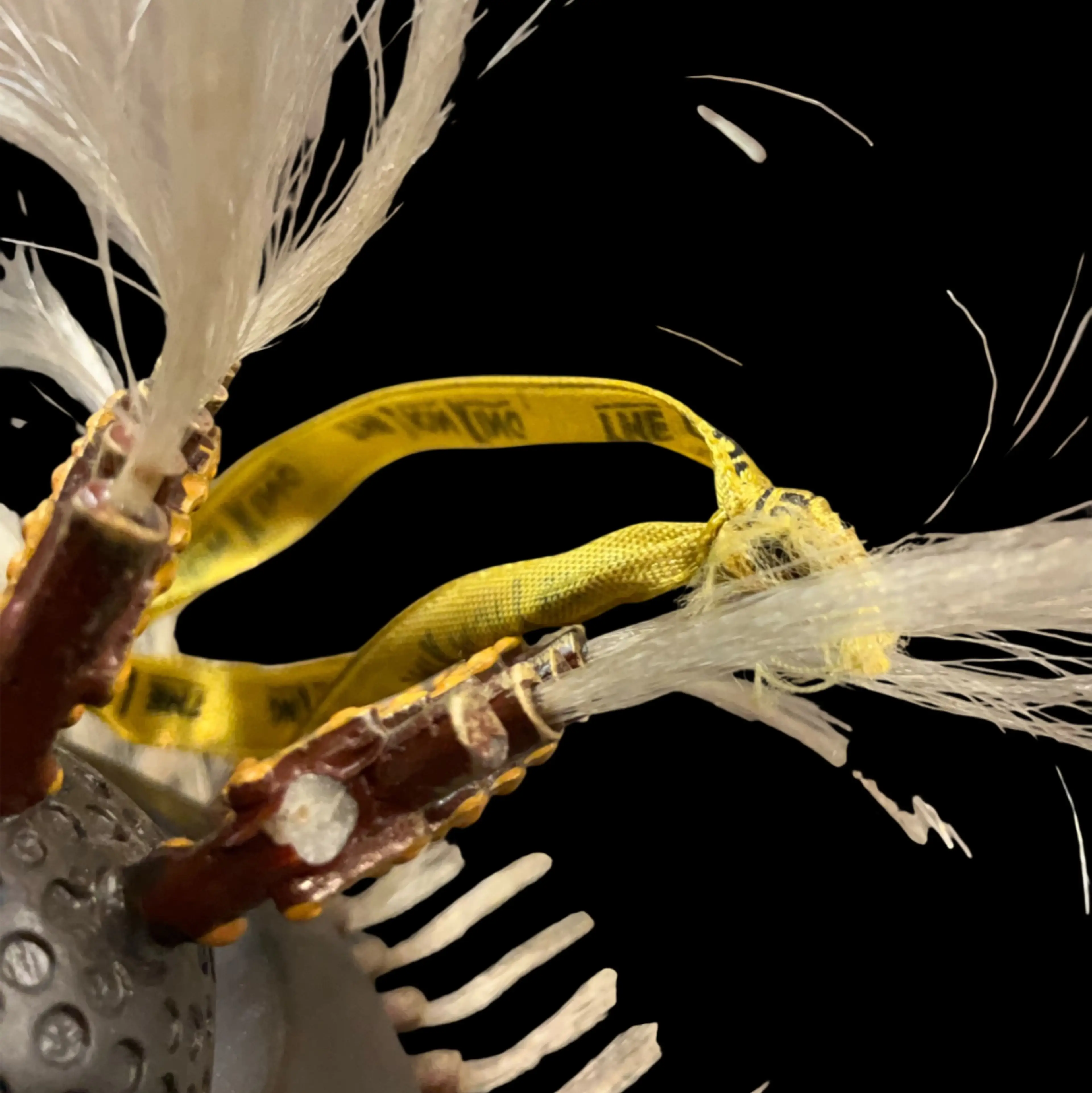 Image 3 of 7