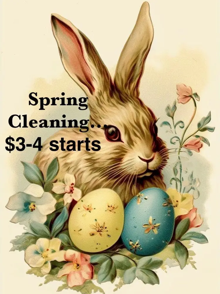 Spring Cleaning-$3 & $4 Starts