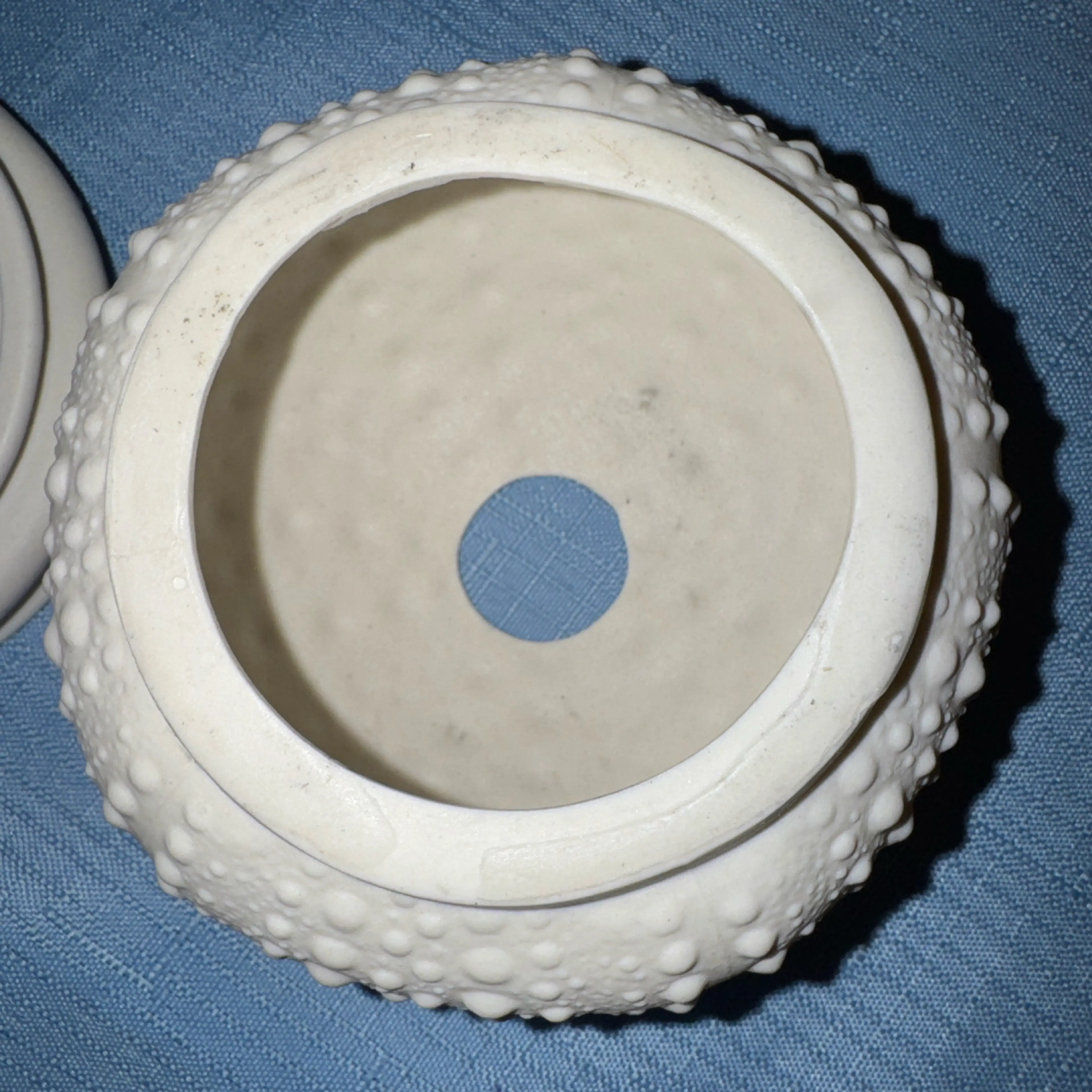 Image 3 of 8