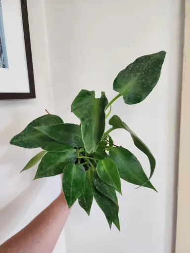 Unboxing goodies from @kawaiicrops