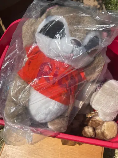 Auction Unboxing - Fresh Haul! Shop Right Out Of My Car