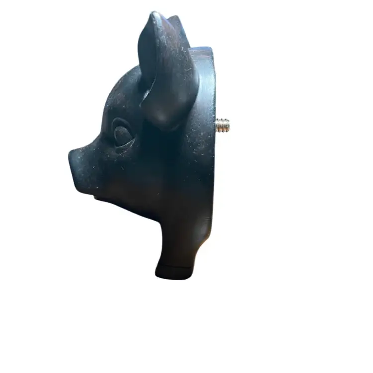 Pig Head